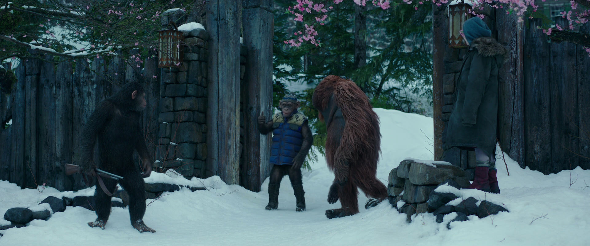War for the Planet of the Apes (2017) movie still 6388