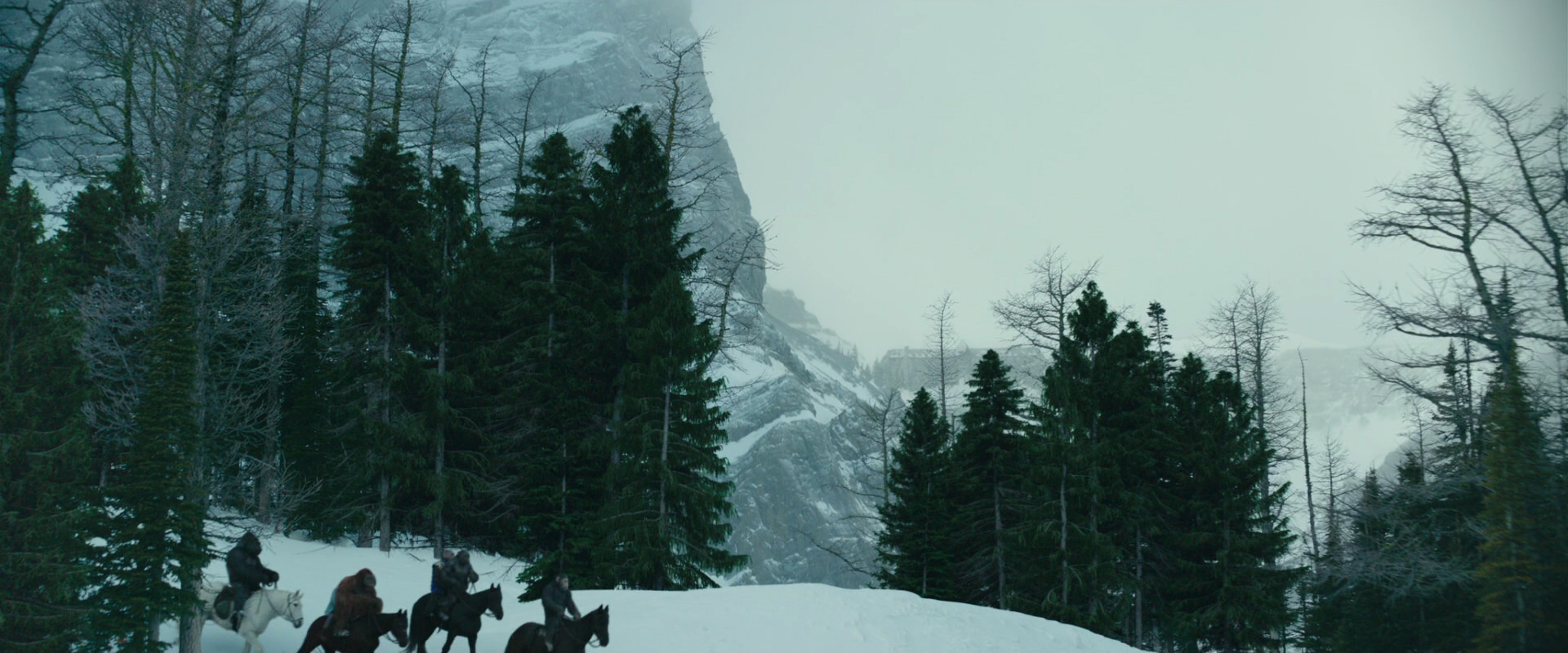 War for the Planet of the Apes (2017) screencap 6402