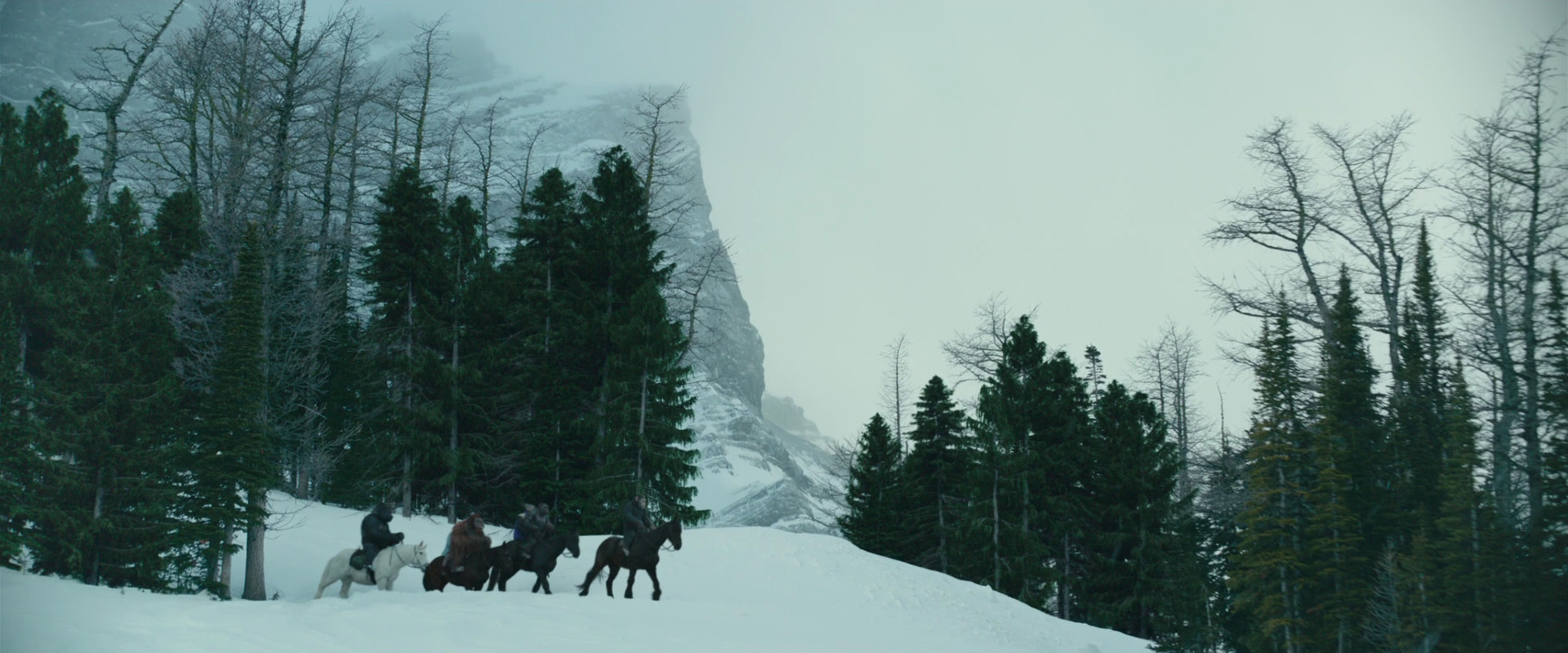War for the Planet of the Apes (2017) screencap 6405