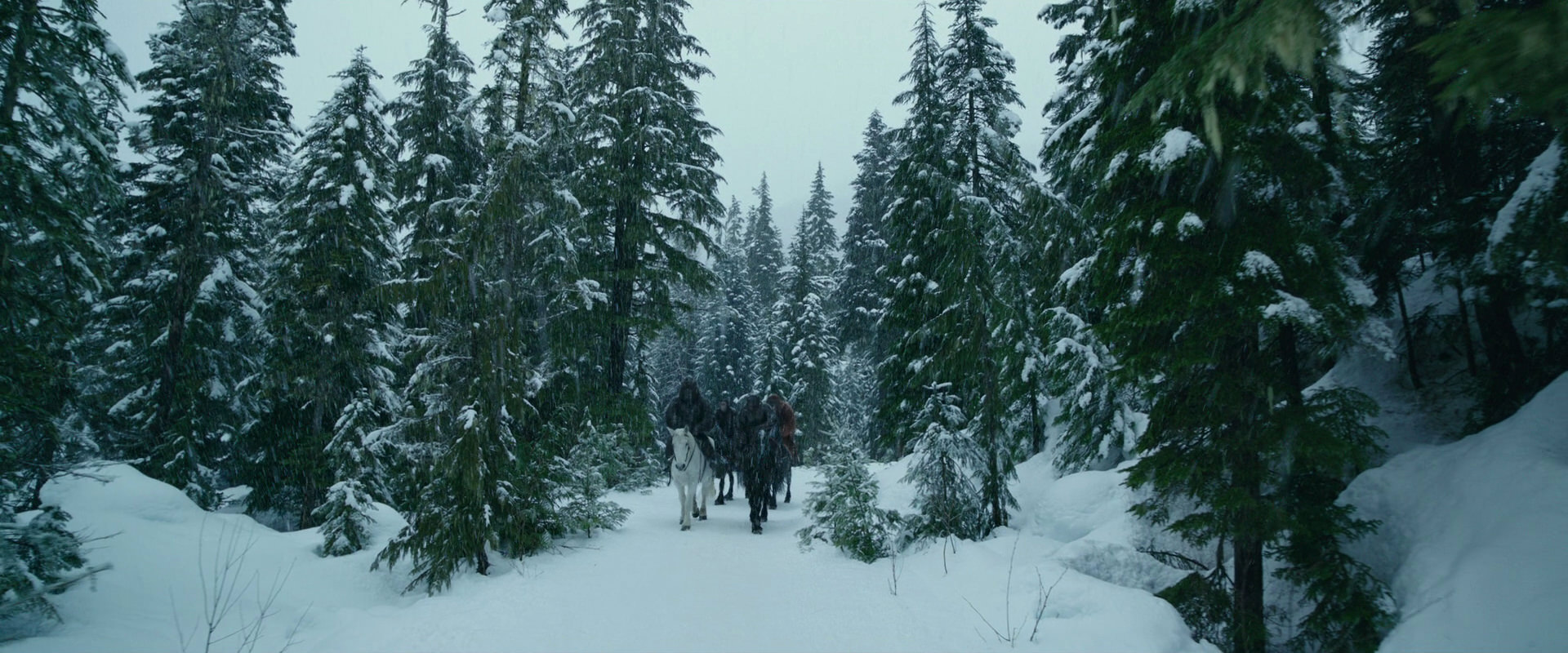 War for the Planet of the Apes (2017) screencap 6414