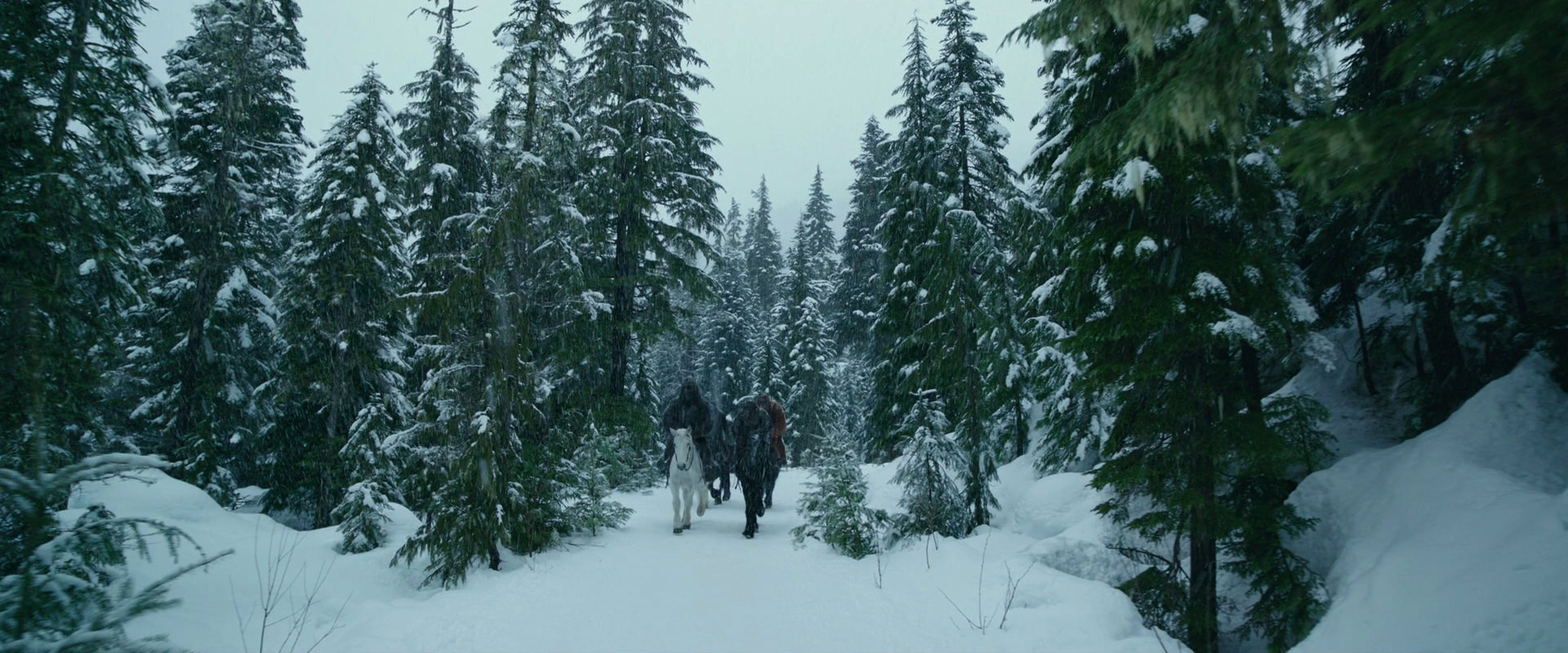 War for the Planet of the Apes (2017) movie still 6415
