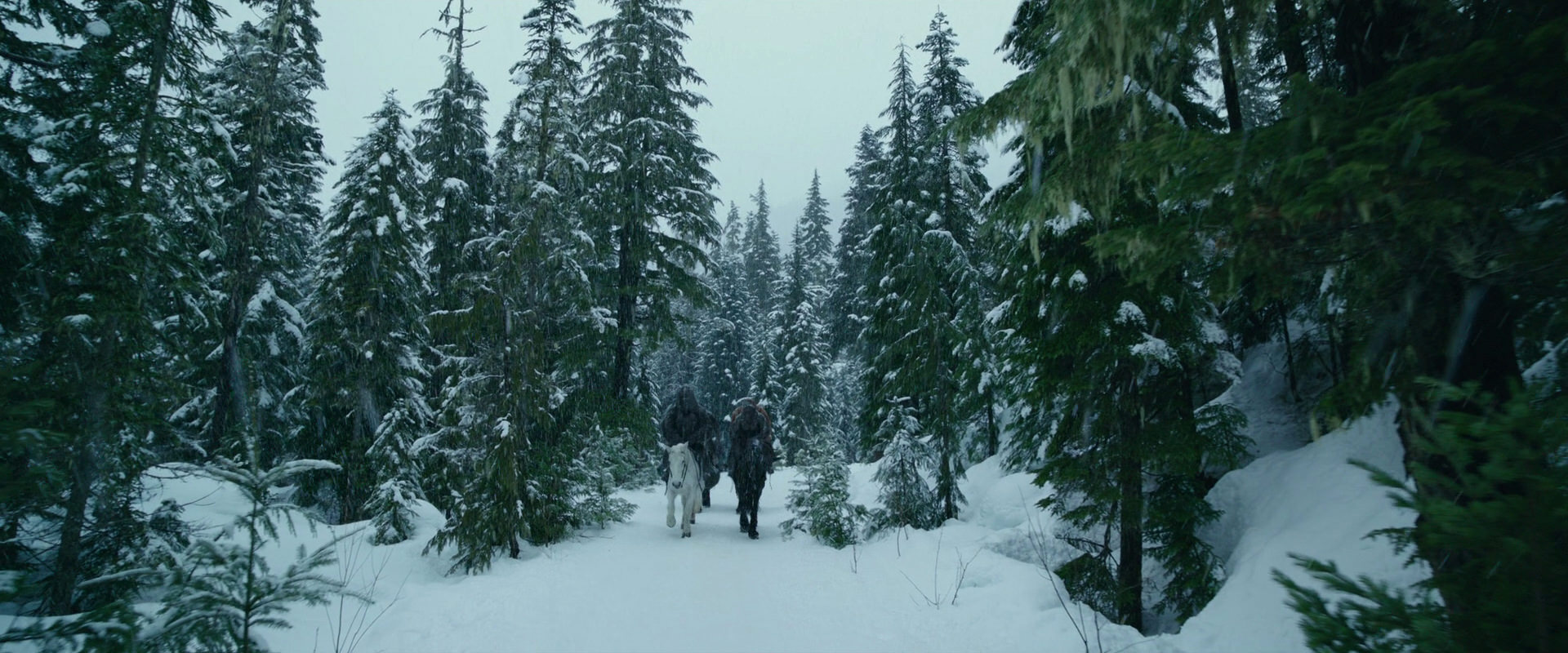 War for the Planet of the Apes (2017) screencap 6417