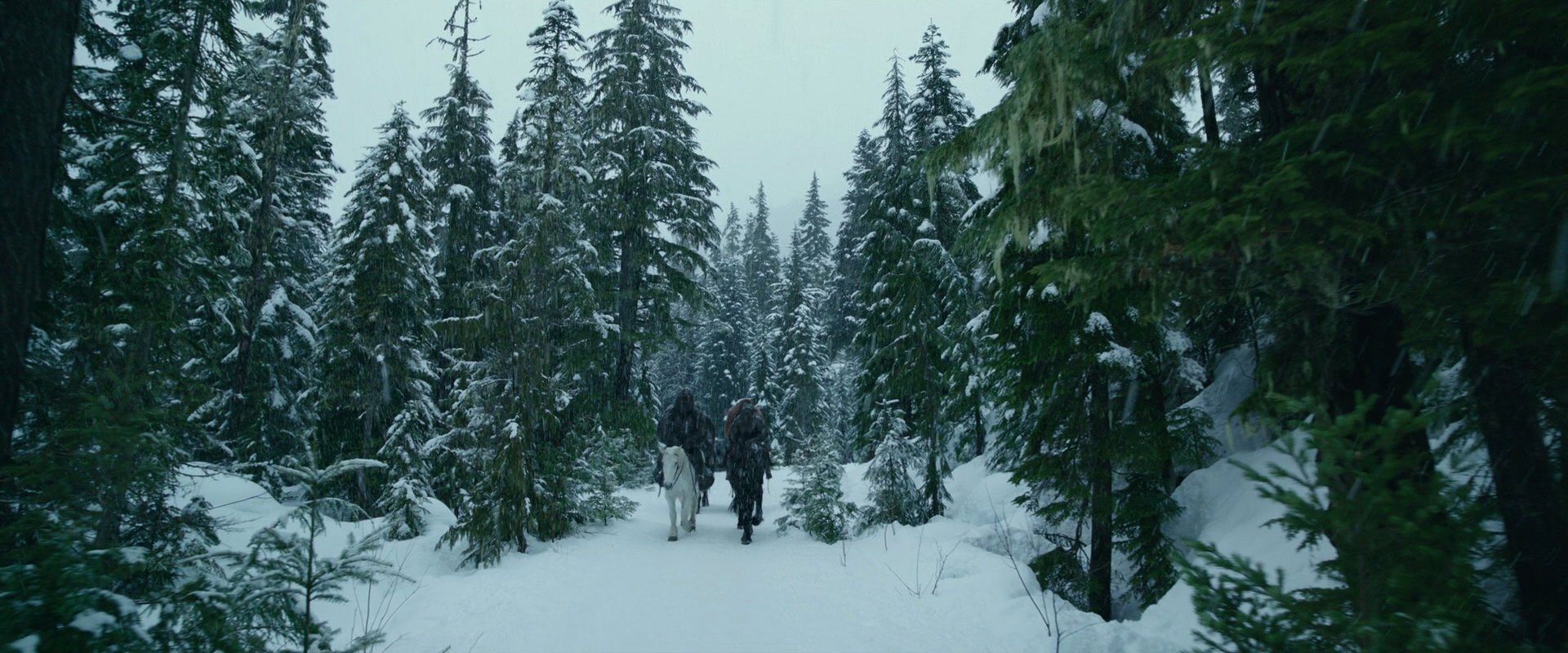 War for the Planet of the Apes (2017) movie still 6418