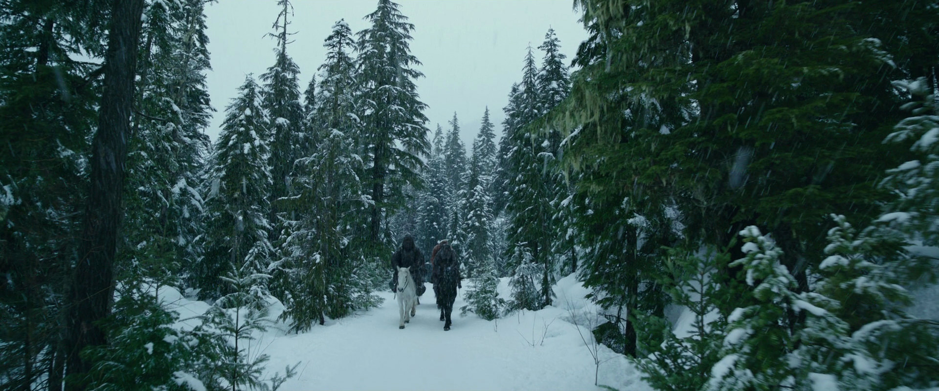 War for the Planet of the Apes (2017) screencap 6420