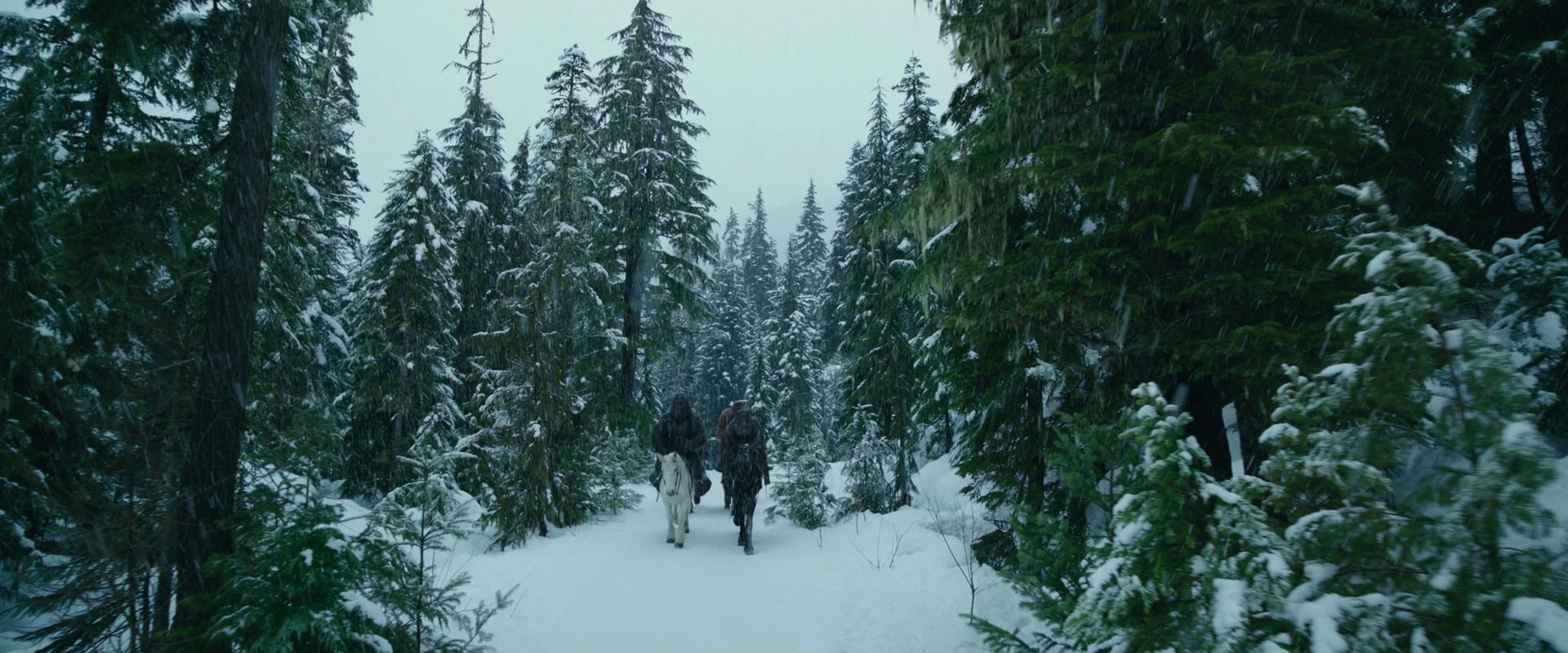 War for the Planet of the Apes (2017) movie still 6421