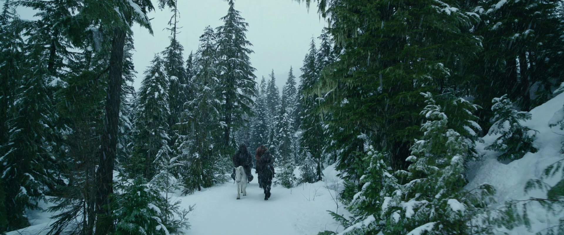 War for the Planet of the Apes (2017) screencap 6423