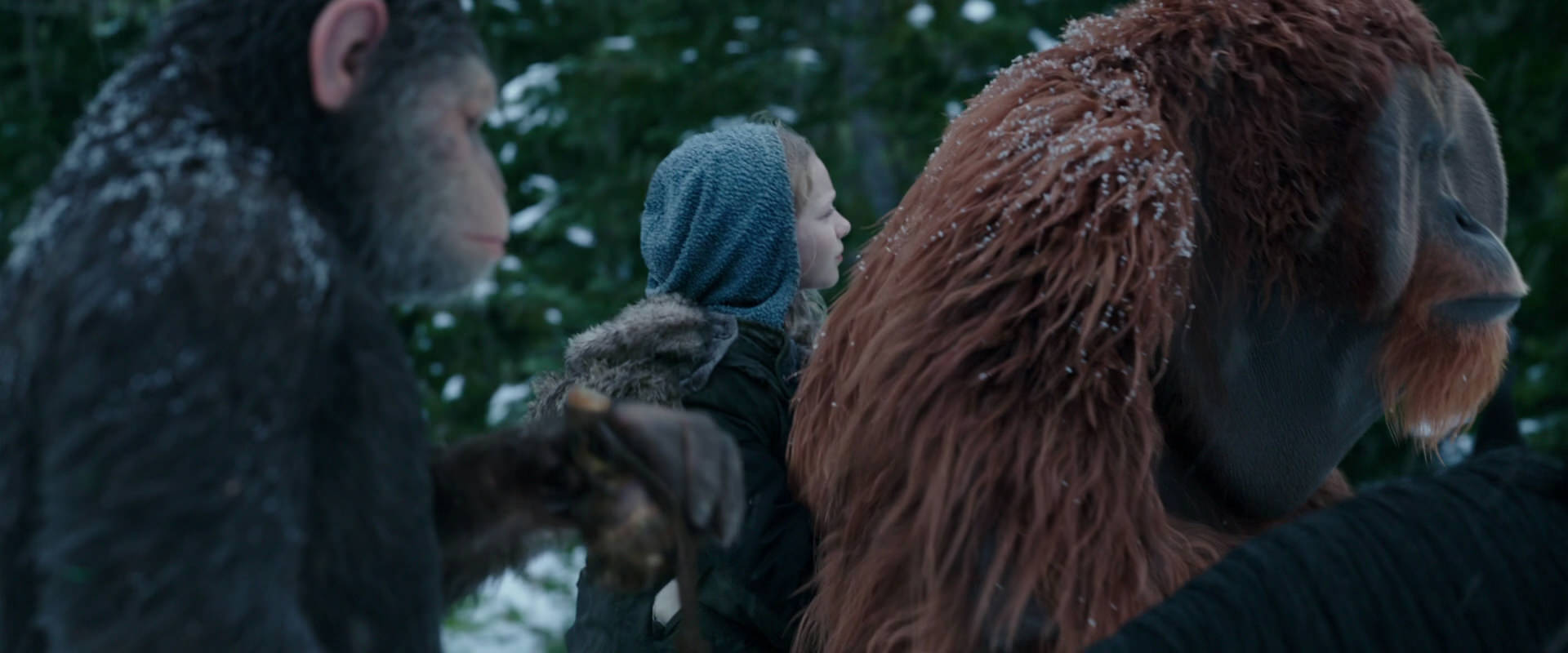 War for the Planet of the Apes (2017) movie still 6424