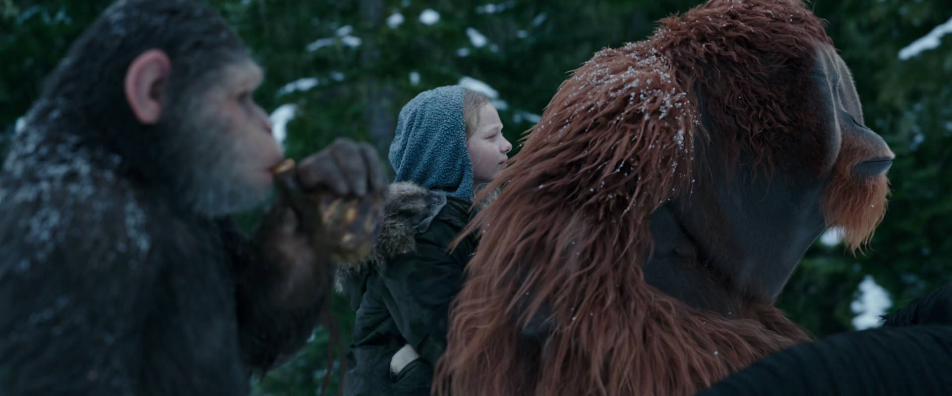 War for the Planet of the Apes (2017) screencap 6426