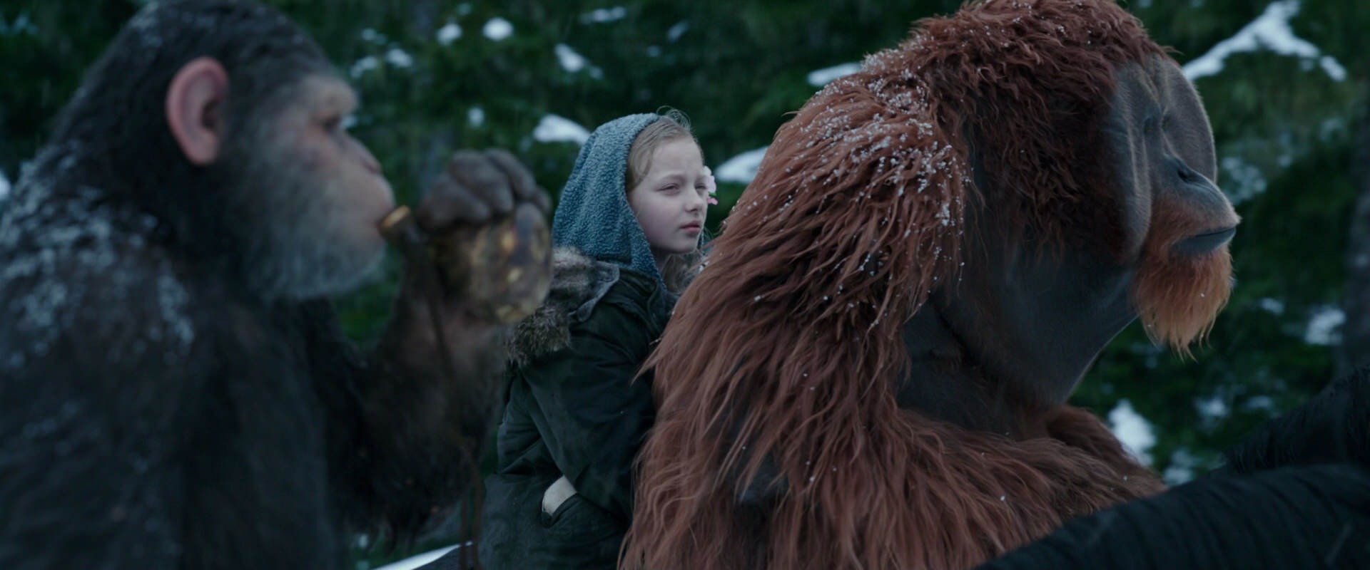 War for the Planet of the Apes (2017) movie still 6427