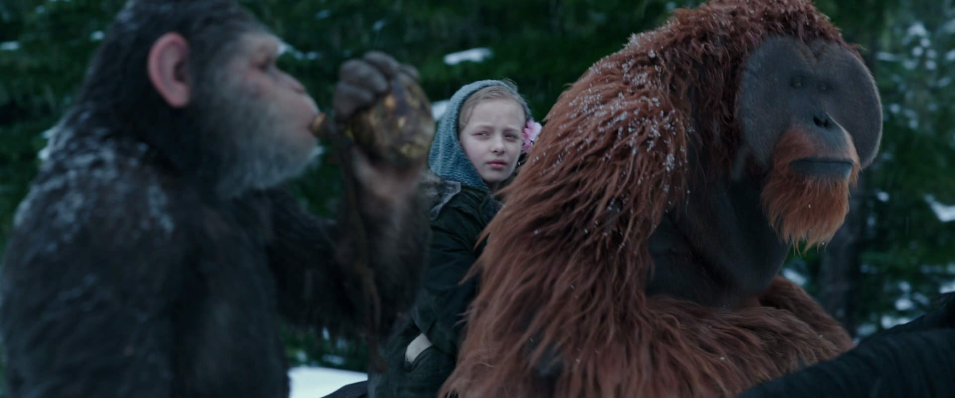 War for the Planet of the Apes (2017) screencap 6429