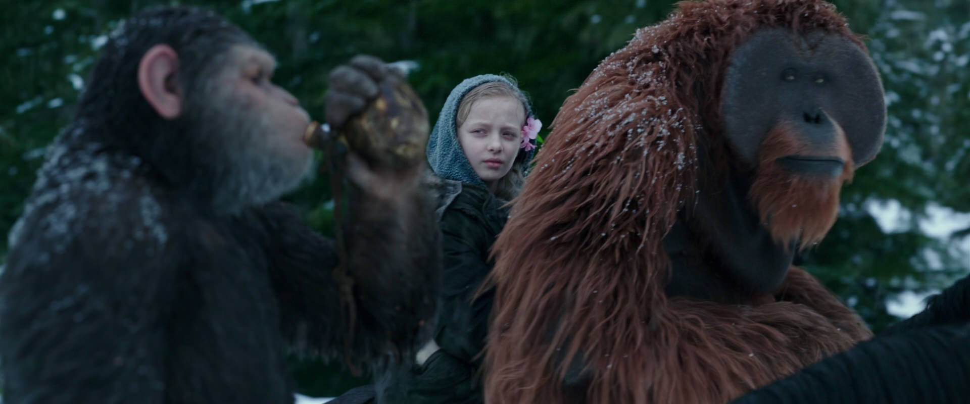 War for the Planet of the Apes (2017) movie still 6430