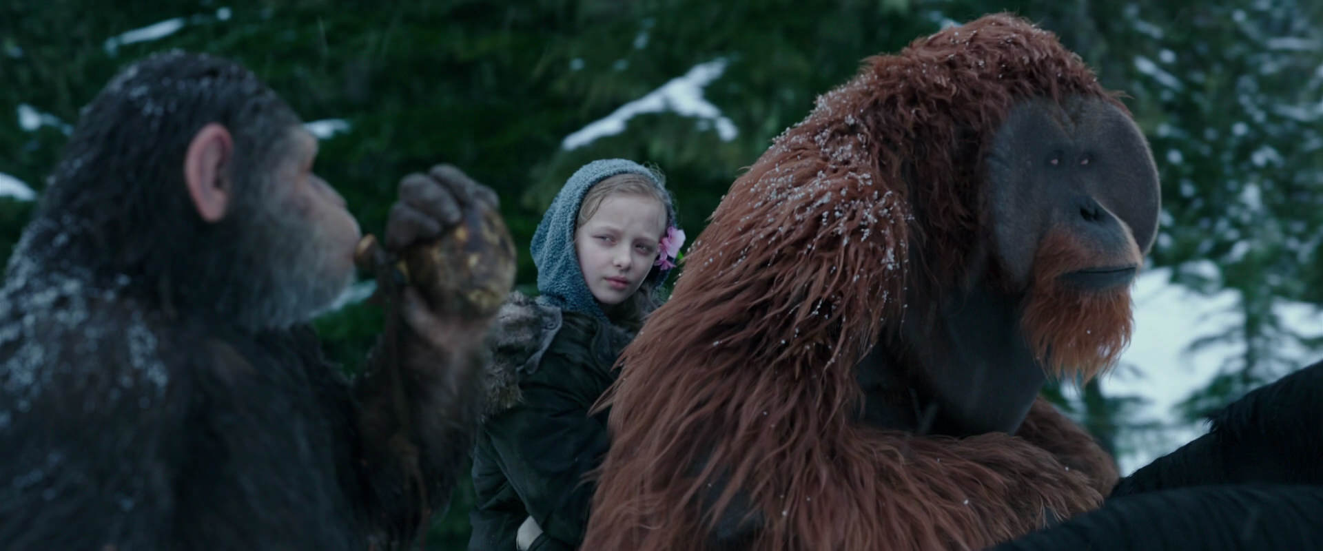 War for the Planet of the Apes (2017) screencap 6432