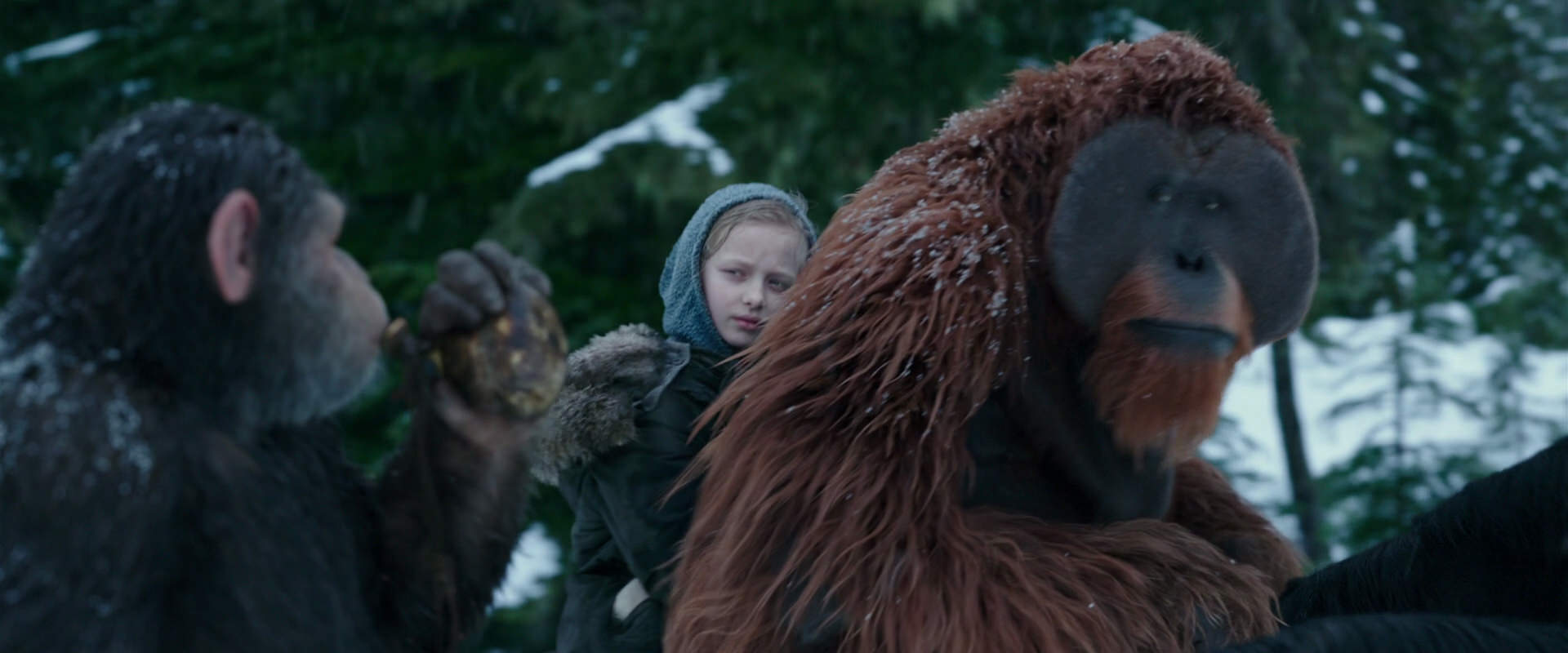 War for the Planet of the Apes (2017) movie still 6433