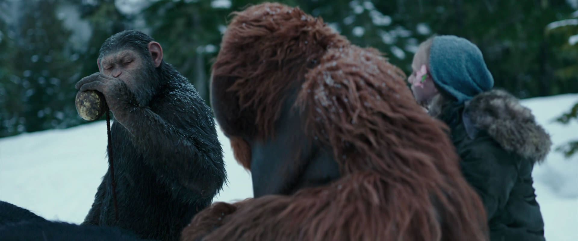 War for the Planet of the Apes (2017) HD screenshot 6434