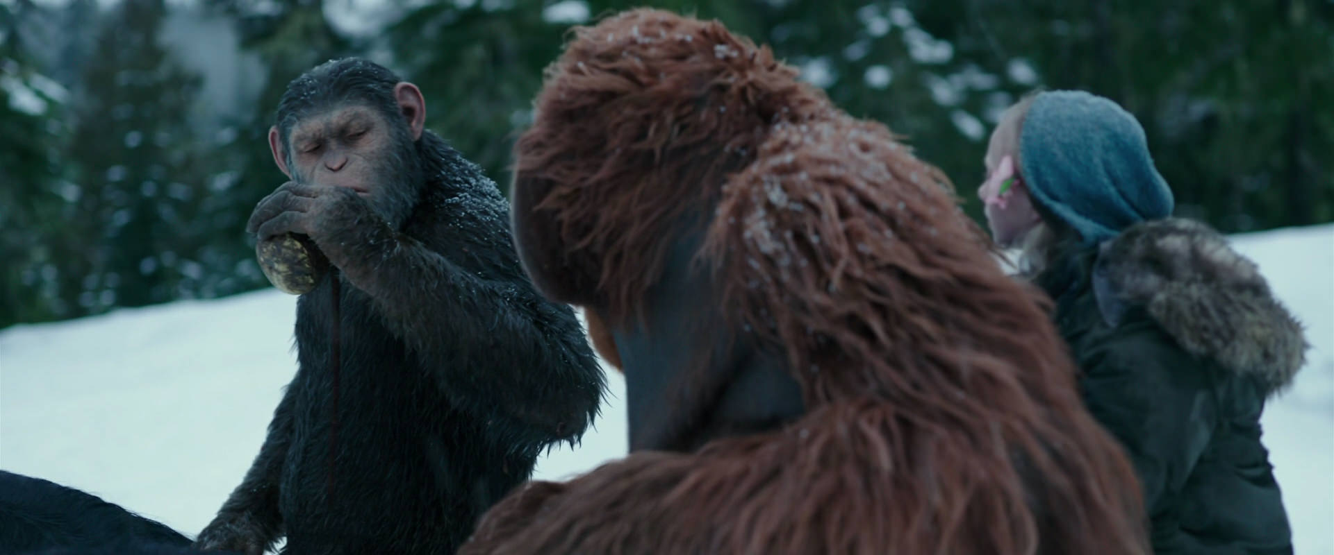 War for the Planet of the Apes (2017) screencap 6435