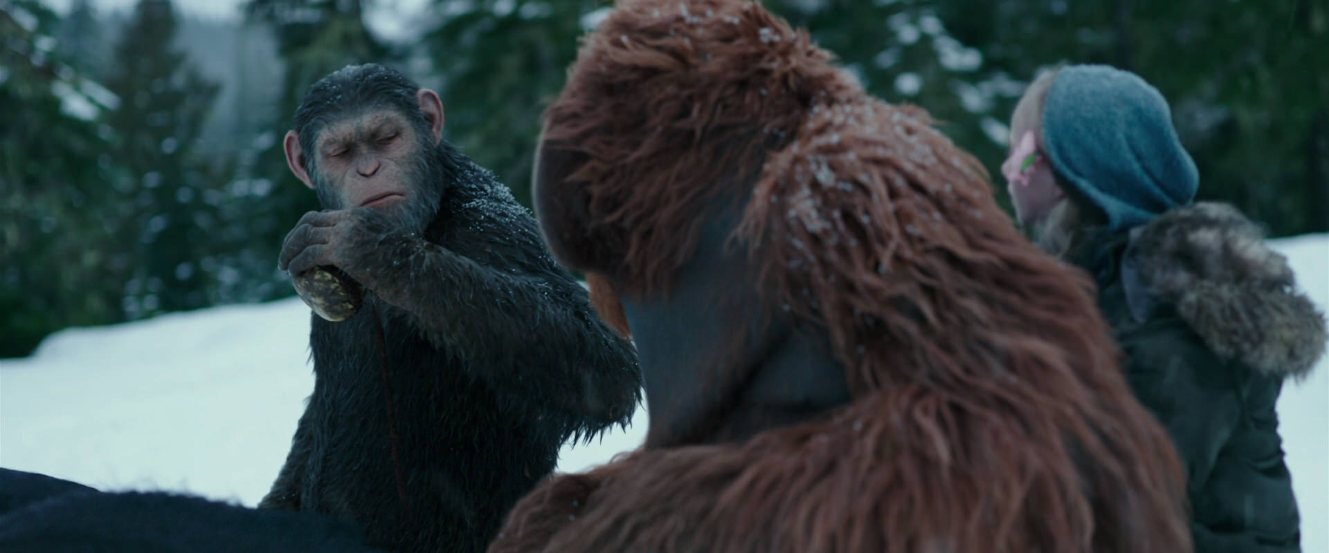 War for the Planet of the Apes (2017) movie still 6436