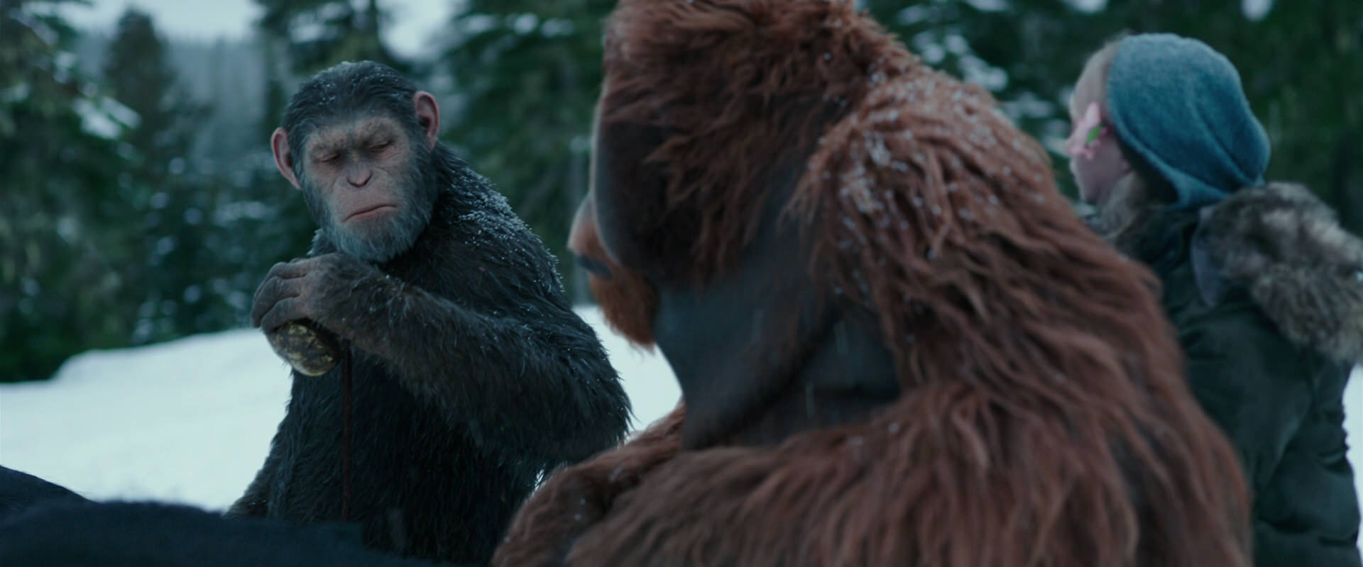 War for the Planet of the Apes (2017) HD screenshot 6437