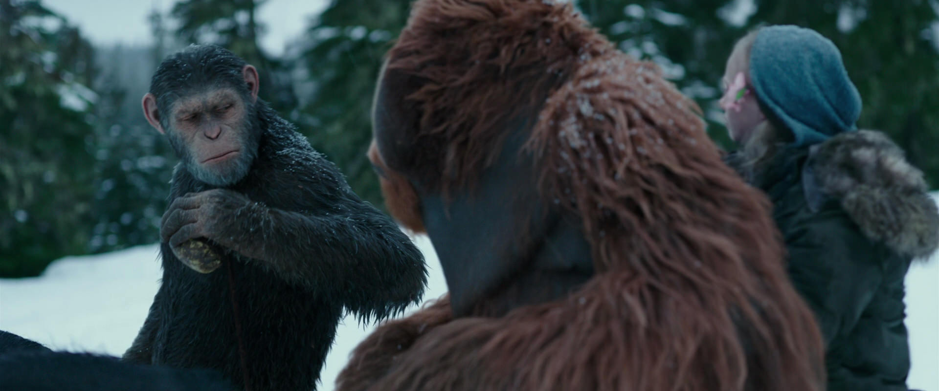 War for the Planet of the Apes (2017) screencap 6438