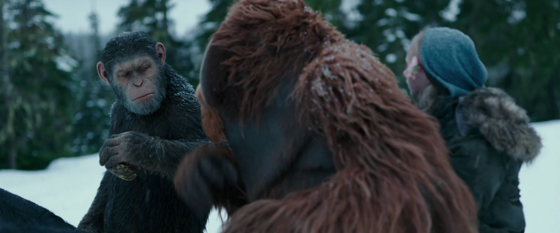 War for the Planet of the Apes (2017) movie still 6439