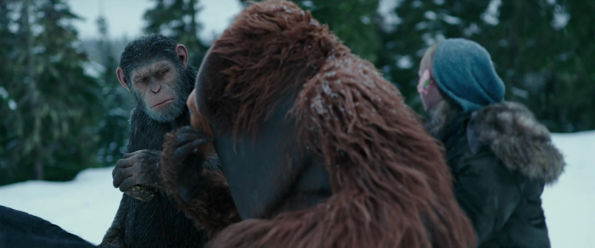 War for the Planet of the Apes (2017) HD screenshot 6440