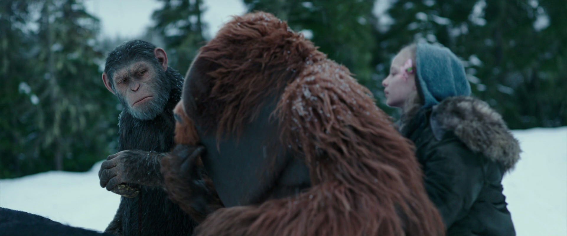 War for the Planet of the Apes (2017) screencap 6441