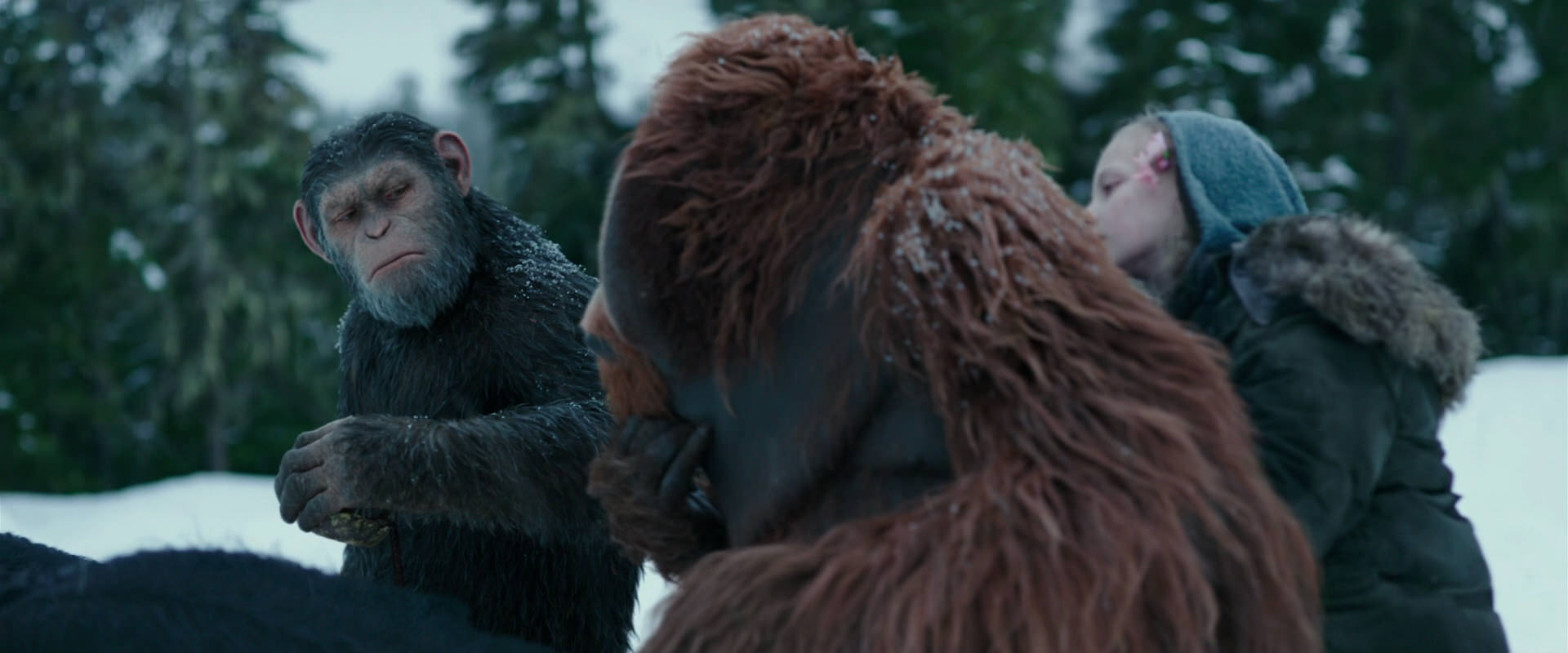 War for the Planet of the Apes (2017) movie still 6442