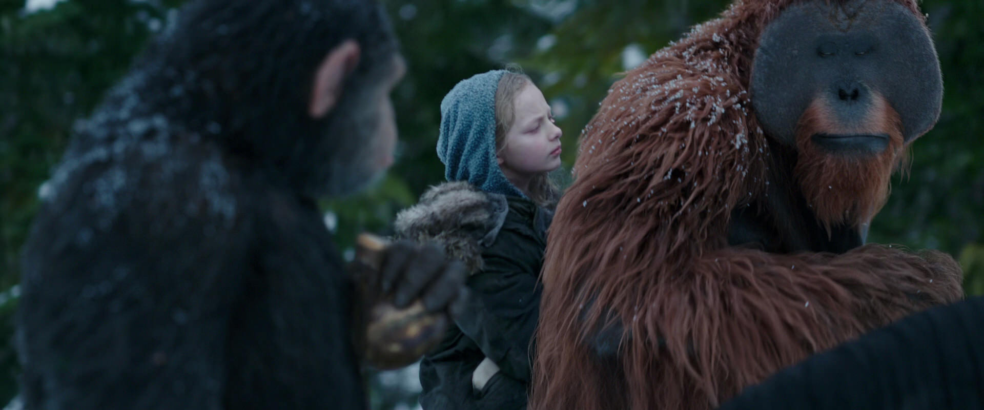 War for the Planet of the Apes (2017) screencap 6444