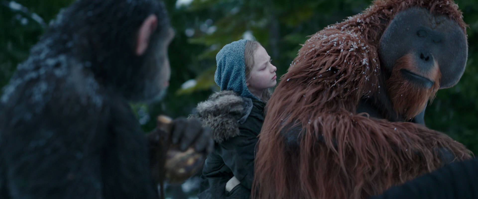 War for the Planet of the Apes (2017) movie still 6445