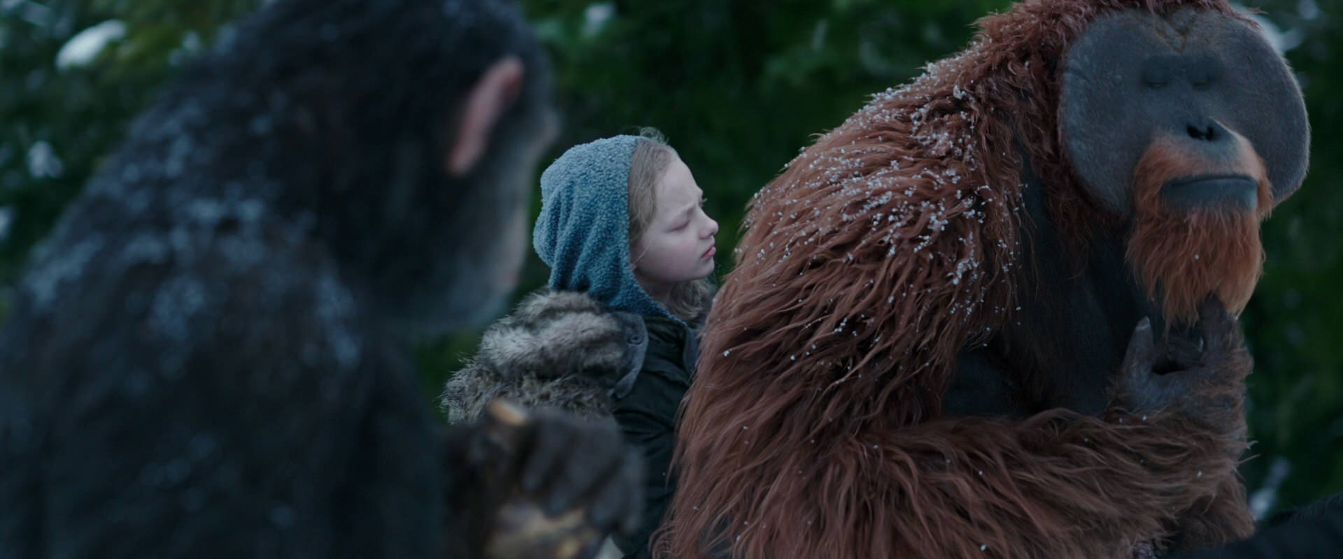 War for the Planet of the Apes (2017) movie still 6448