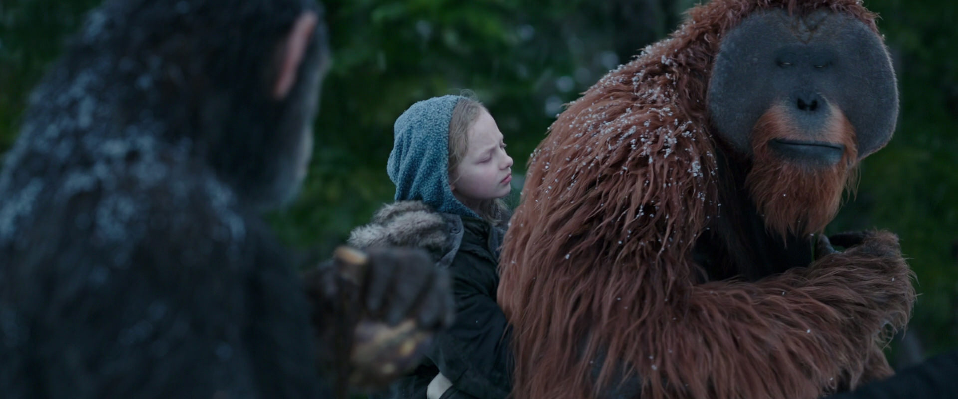 War for the Planet of the Apes (2017) screencap 6450