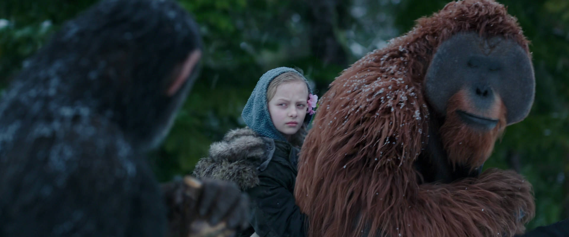 War for the Planet of the Apes (2017) movie still 6451