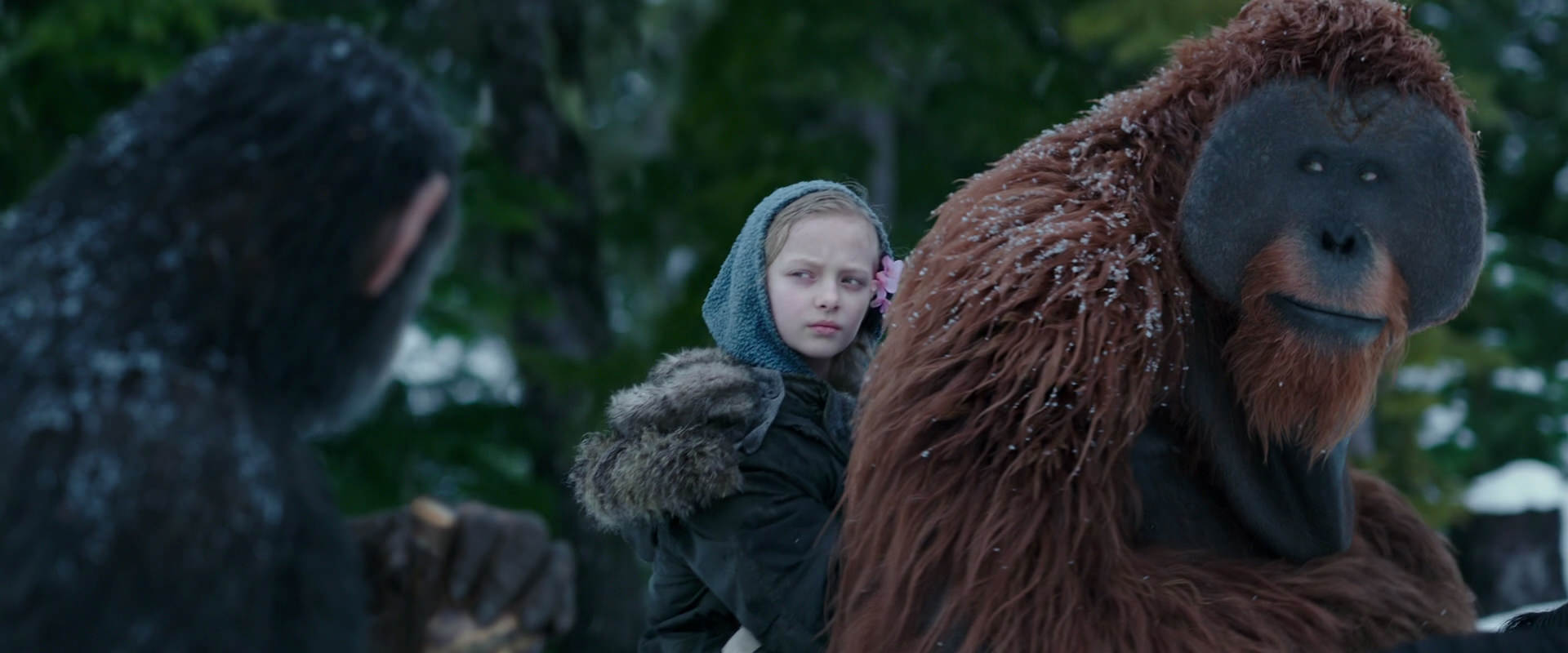 War for the Planet of the Apes (2017) movie still 6454