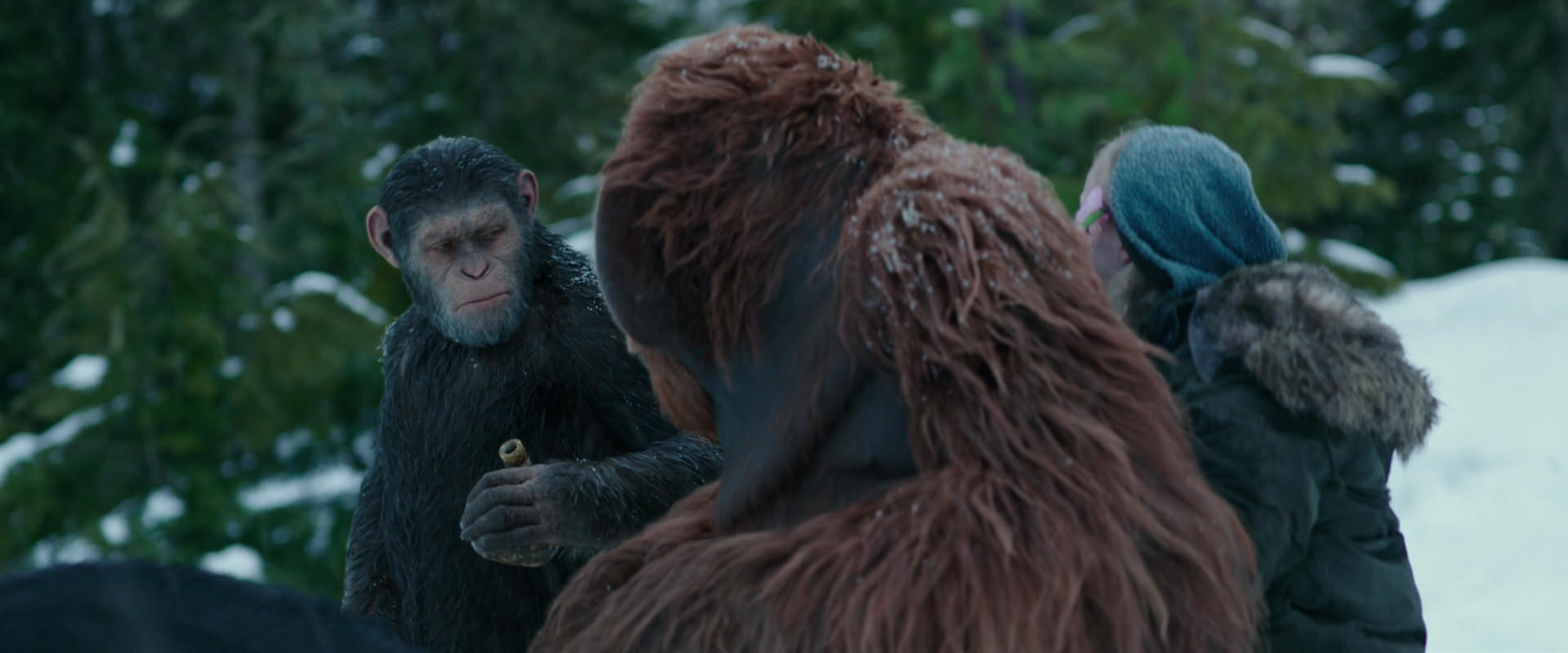 War for the Planet of the Apes (2017) screencap 6462