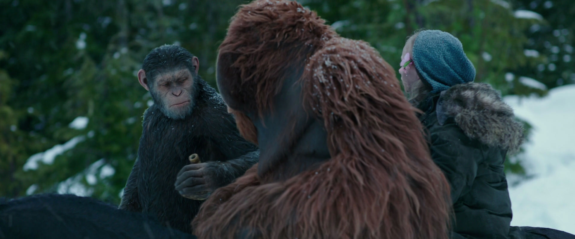 War for the Planet of the Apes (2017) movie still 6463