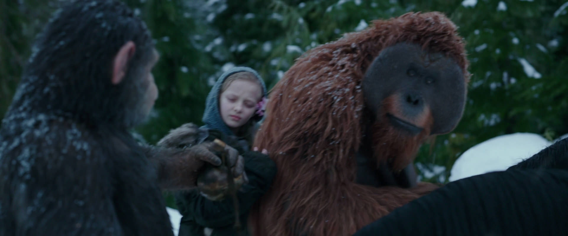 War for the Planet of the Apes (2017) screencap 6465