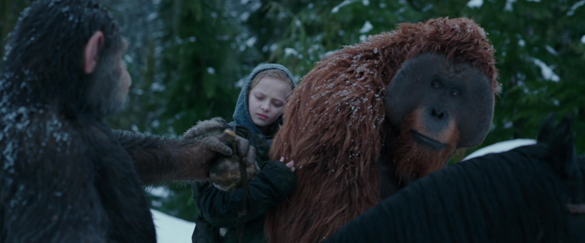 War for the Planet of the Apes (2017) movie still 6466