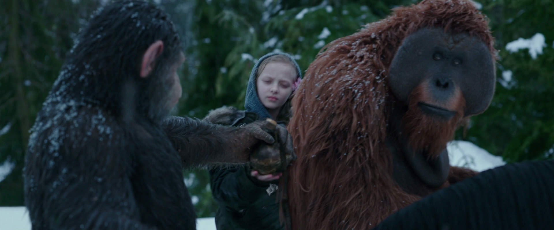 War for the Planet of the Apes (2017) screencap 6468