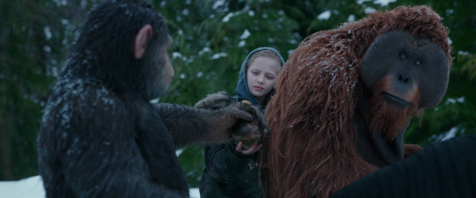 War for the Planet of the Apes (2017) movie still 6469