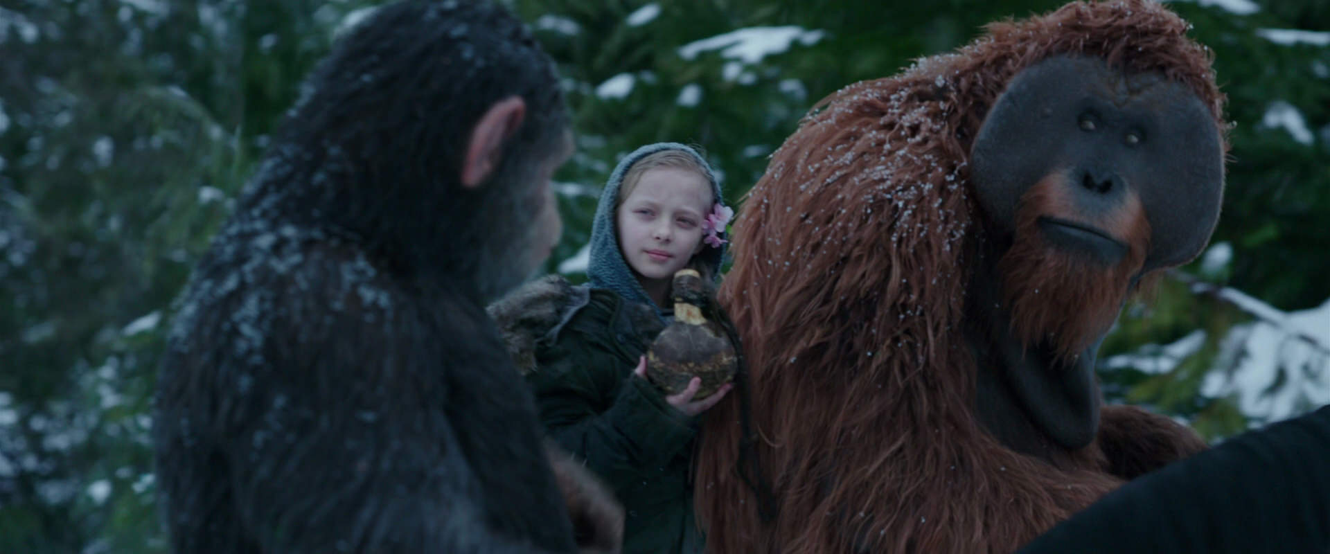 War for the Planet of the Apes (2017) screencap 6471