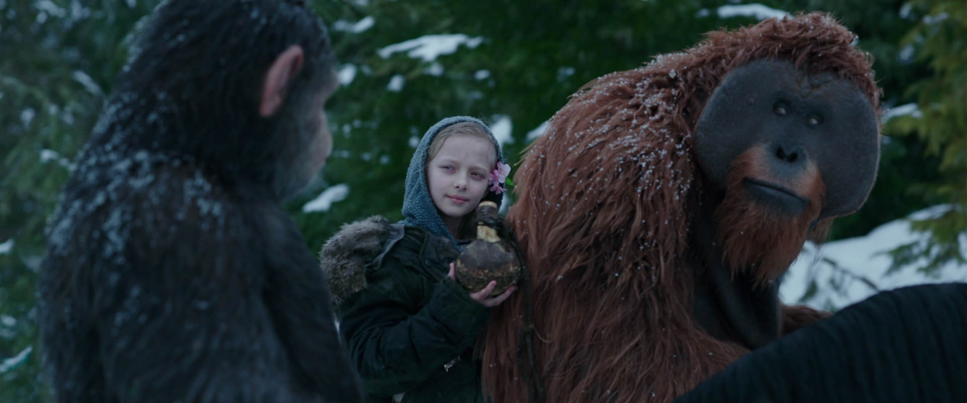 War for the Planet of the Apes (2017) movie still 6472