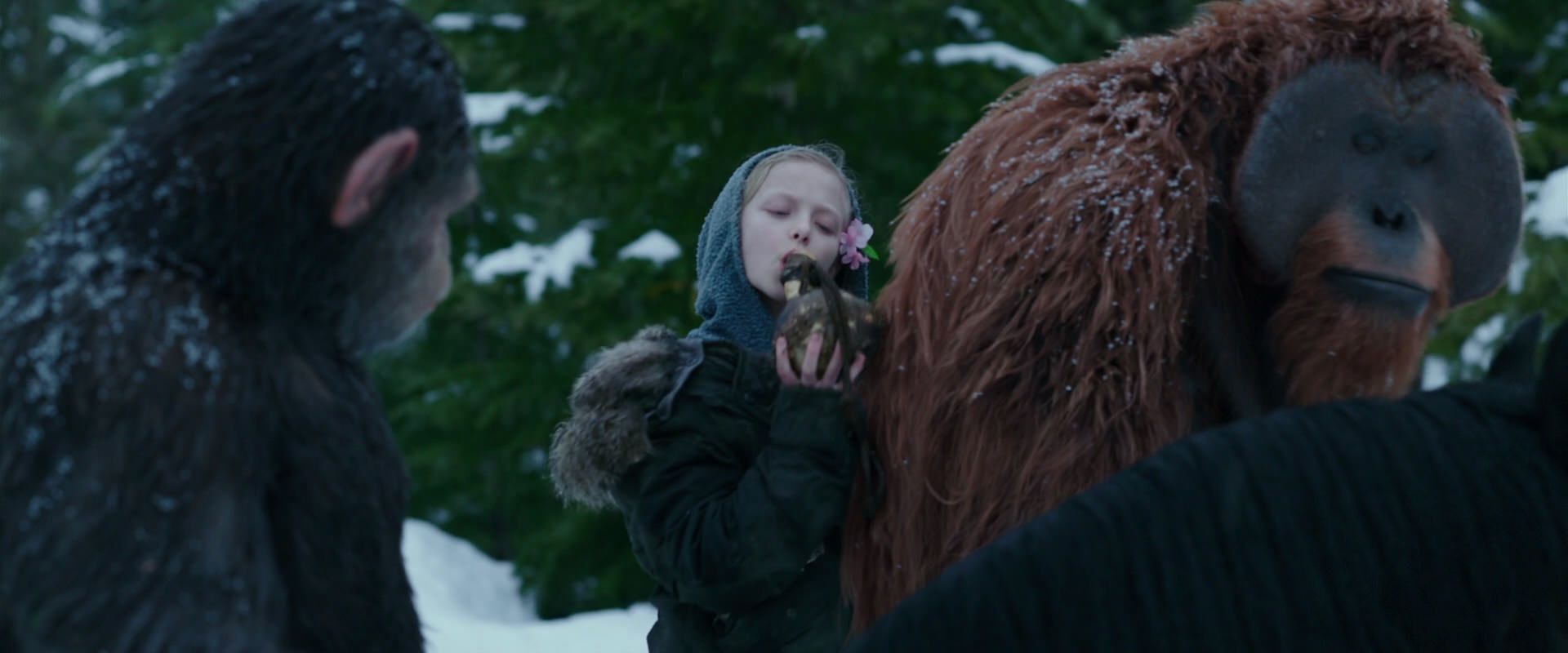 War for the Planet of the Apes (2017) screencap 6474