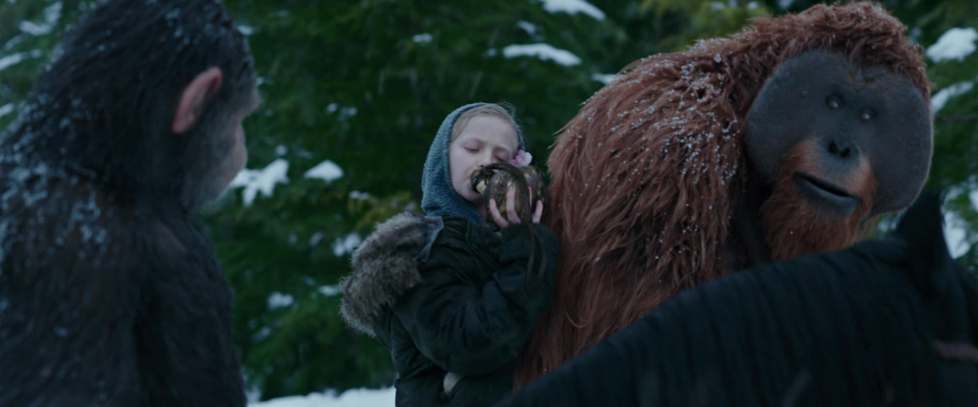 War for the Planet of the Apes (2017) movie still 6475