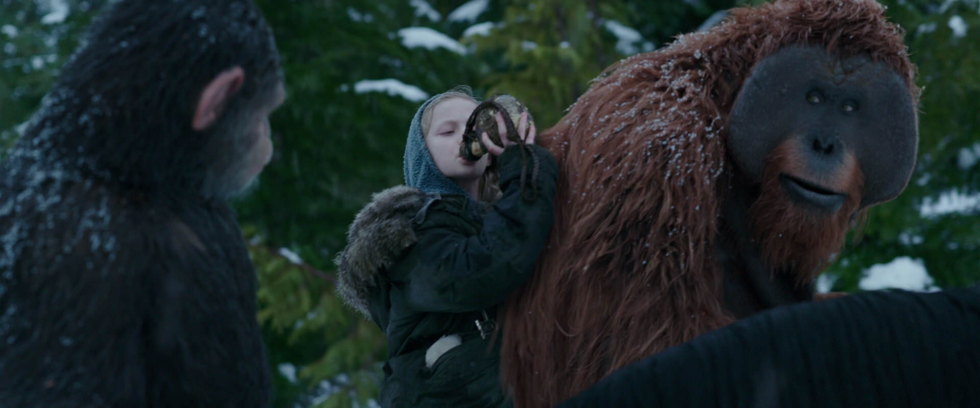 War for the Planet of the Apes (2017) screencap 6477