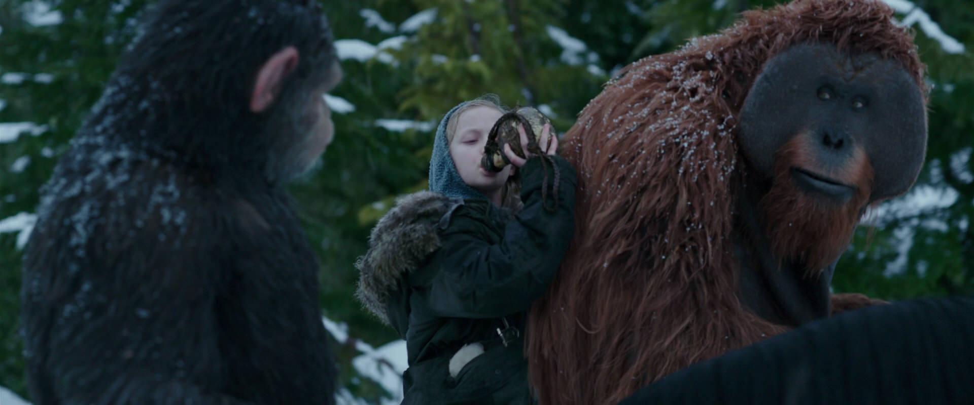 War for the Planet of the Apes (2017) movie still 6478