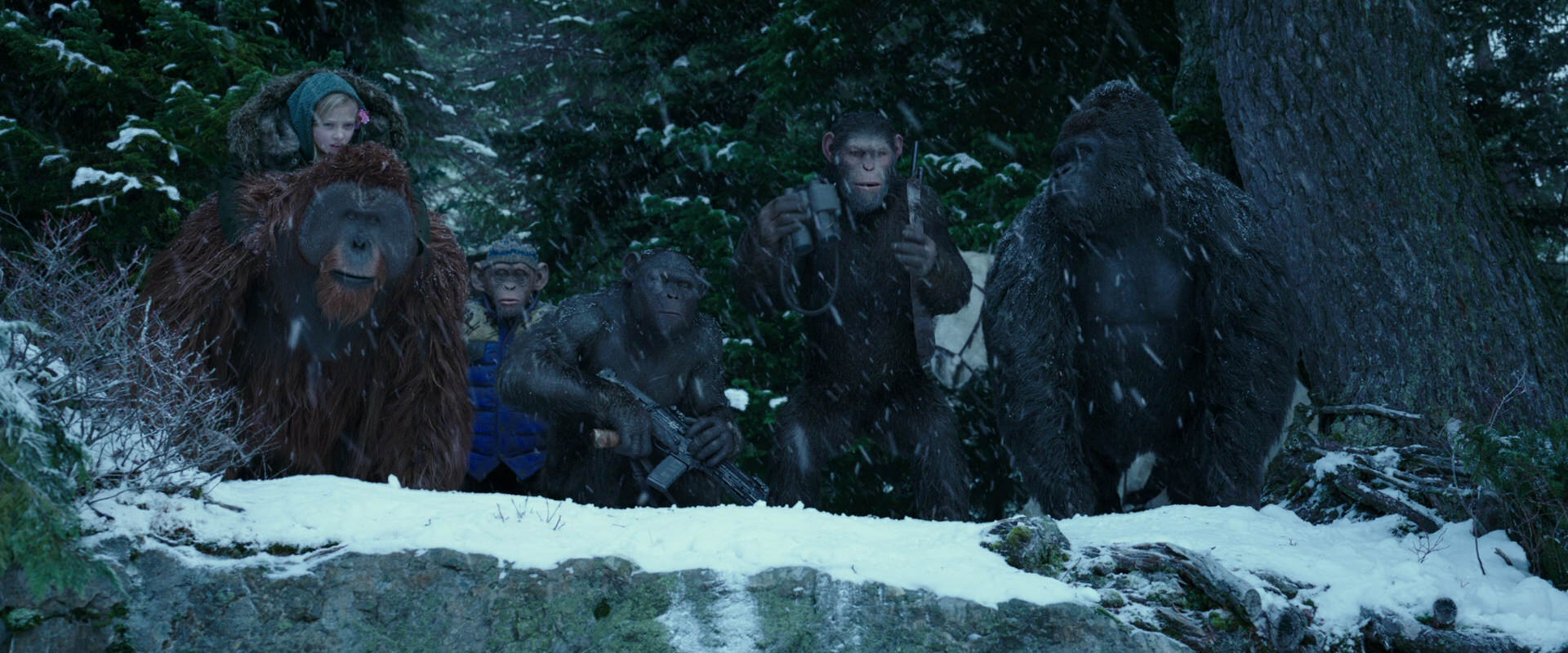 War for the Planet of the Apes (2017) movie still 6487