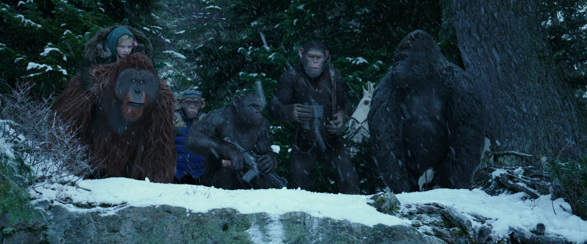 War for the Planet of the Apes (2017) HD screenshot 6488