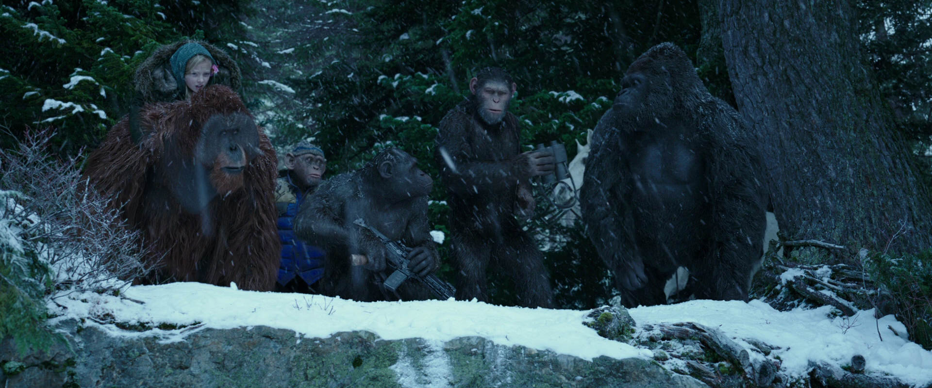 War for the Planet of the Apes (2017) screencap 6489