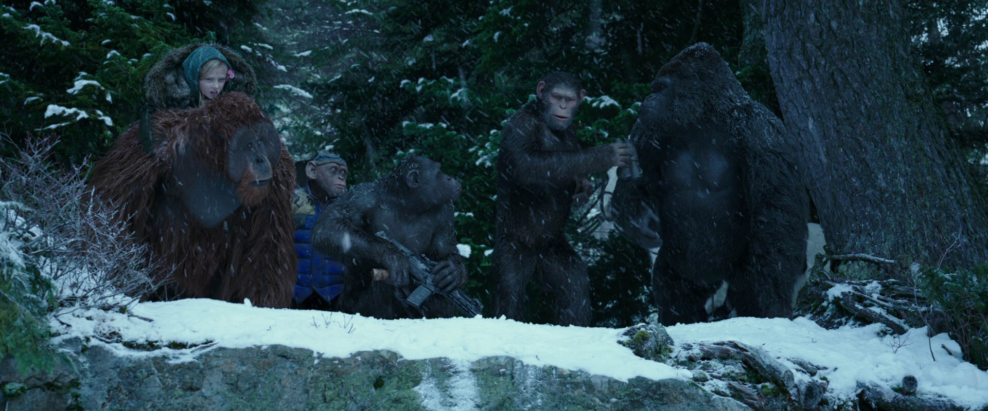 War for the Planet of the Apes (2017) movie still 6490