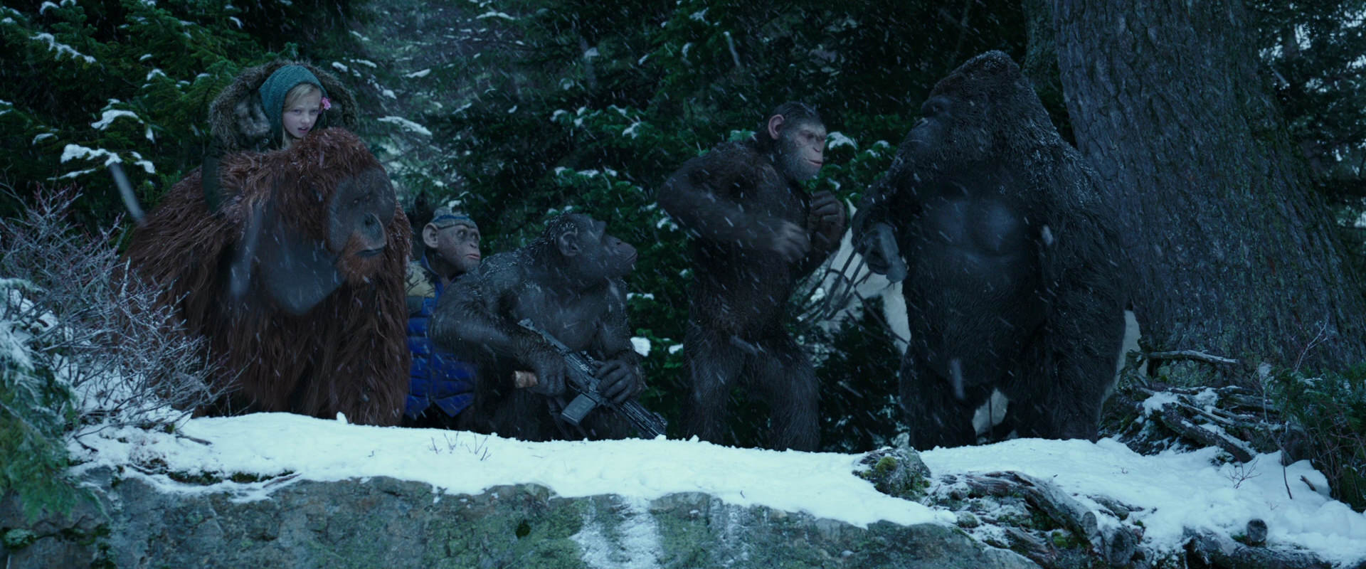 War for the Planet of the Apes (2017) screencap 6492