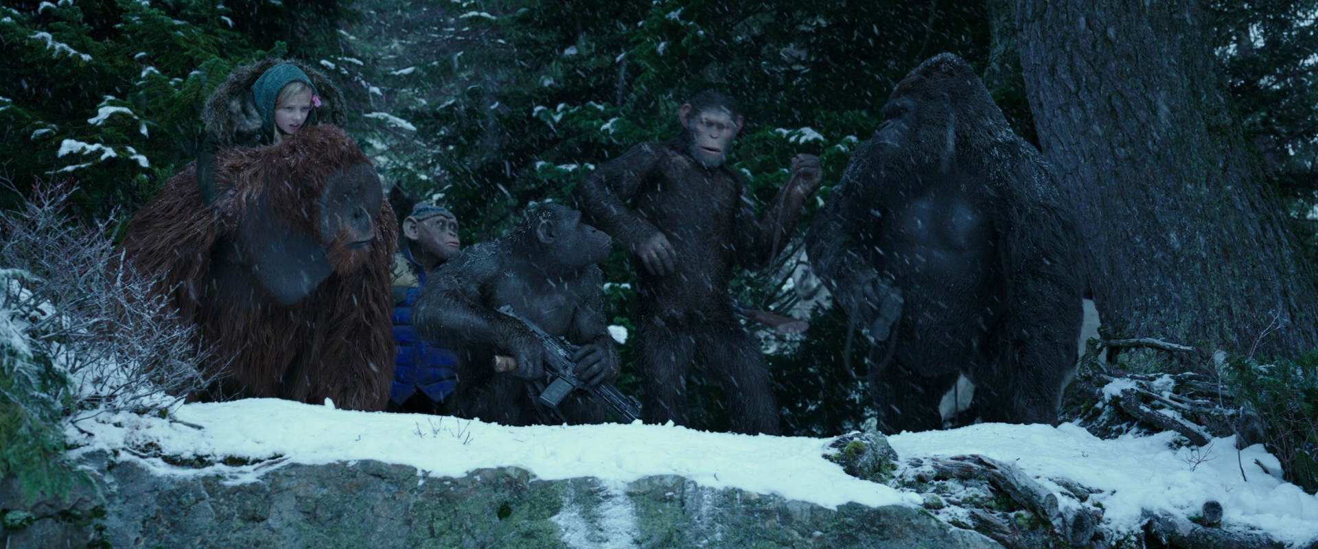 War for the Planet of the Apes (2017) movie still 6493